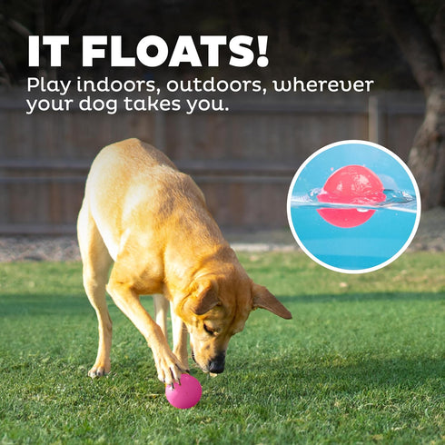 Outward Hound Orbee-Tuff Squeak Ball - Pink Dog Fetch Toy