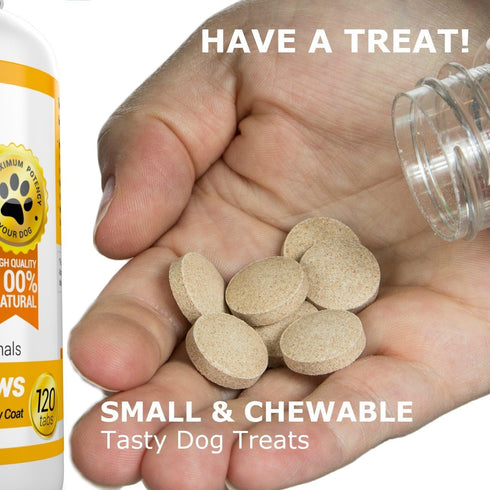 Amazing Omega 3 for Dogs, Fish Oil Supplement for Itchy Skin Relief, 120 Salmon Flavor Chews