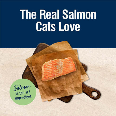 Blue Buffalo True Solutions Perfect Skin & Coat Natural Dry Food for Adult Cats, Salmon, 4-lb Bag