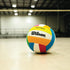Wilson Pro Tour Indoor Volleyball - Official Size & Multicolor