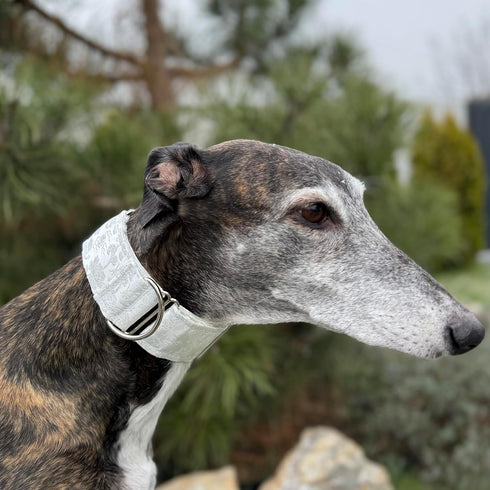 Extra Soft Martingale Dog Collar and Leash Set for Greyhound Saluki Whippet and Similar Breeds, 2'' Wide (M 11''-14'')