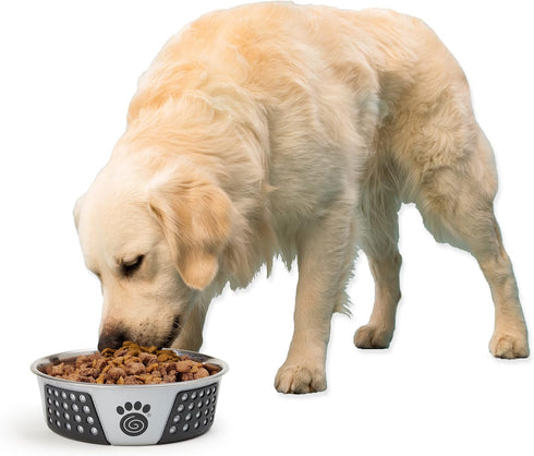 PetRageous 13099 Fiji Stainless Steel Dog Bowl, Non-Slip, Dishwasher-Safe, 6.5-Cup Capacity, Light Grey and Black