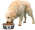 PetRageous 13099 Fiji Stainless Steel Dog Bowl, Non-Slip, Dishwasher-Safe, 6.5-Cup Capacity, Light Grey and Black