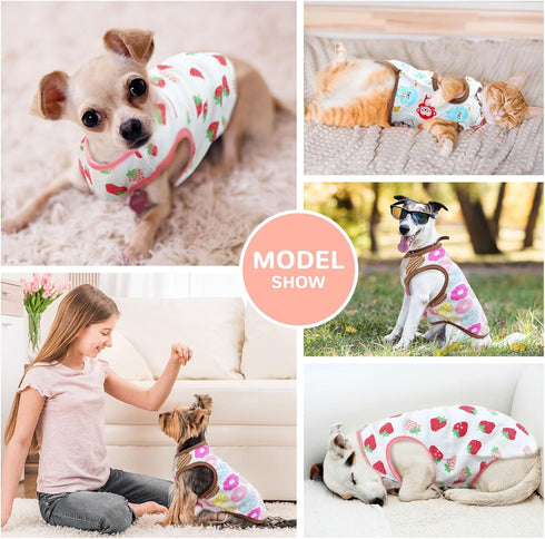 PETCARE 3 Pack Premium Small Dog Shirts, 95% Cotton, Soft Cute Outfits for Small Dogs, Cats, and Puppies
