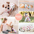 PETCARE 3 Pack Premium Small Dog Shirts, 95% Cotton, Soft Cute Outfits for Small Dogs, Cats, and Puppies