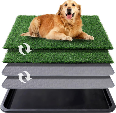 Dog Grass Pad with Tray, 35x23in Dogs Potty Tray with 2-Pack Replacement