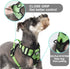 TwoEar Dog Harness, Adjustable Soft Padded Vest, No Pull Reflective Front Clip, Easy Control Handle for Small Medium