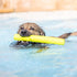 Hyper Pet Fetching Dog Toys, Throwing Stick Made with EVA Foam, Easy to Clean & Floats on Water