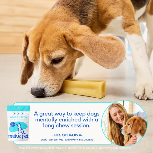Native Pet Yak Cheese Himalayan Dog Chews, Long Lasting Dental Sticks for Medium Breeds, 100% All Natural, 3 Per Pack