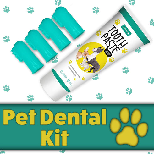 H&H Pets Dog Toothbrushes and Toothpaste Set, Professional Finger Dental Brush for Cats & Dogs, Small Size, 4 Count,