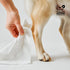 Wags & Wiggles 100 Count Hypoallergenic Dog Wipes for Sensitive Skin, Fragrance Free Waterless Cleansing Towelettes