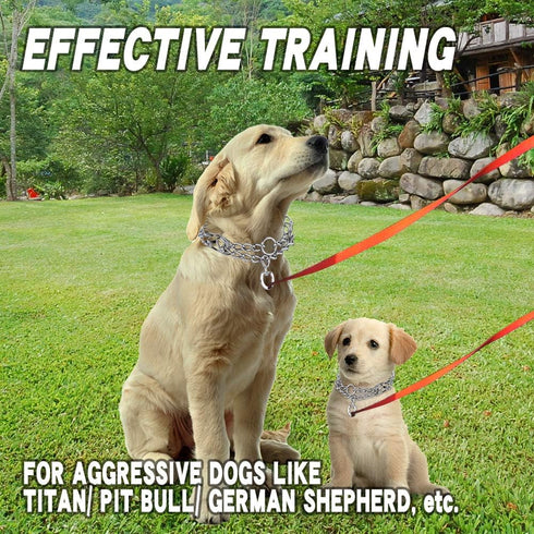 Prong Collar for Dogs - Adjustable Stainless Steel Training Collar for Large, Medium, and Small Dogs