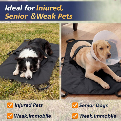 Geiserailie 6 Black Emergency Dog Stretcher for Large Dogs Portable Pet Rescue Carrier with Handles & Safety Strap