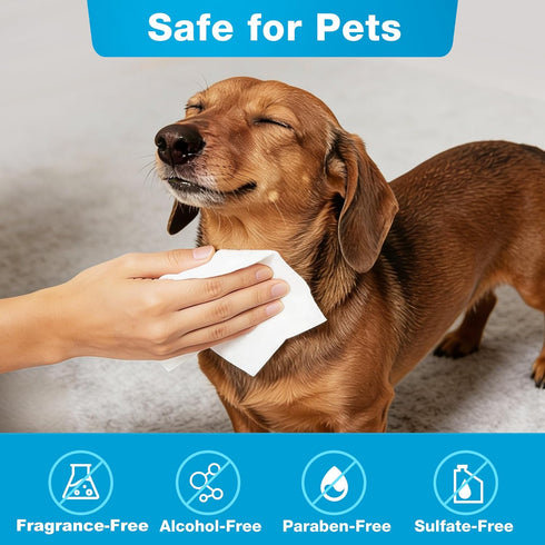 600 Count, 100% Prime Pets Dog Wipes for Paws and Butt, Pet Wipes for Dogs & Cats, Fragrance Free, Deodorizing Puppy