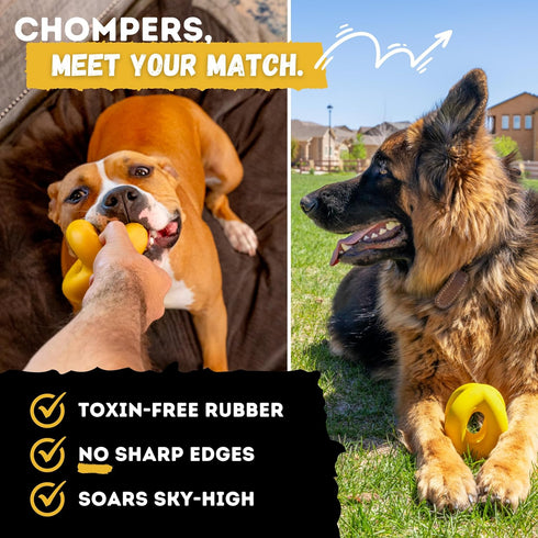 Indestructible Ring Ball for Aggressive Chewers, Non-Toxic Natural Rubber Dog Toys, Butter Scent, Yellow (4.5”)