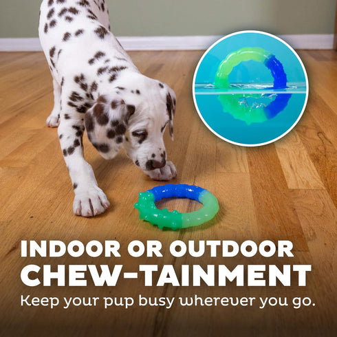 Orka Grow-with-Me-Ring Dog Chew Toy by Petstages