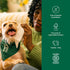 Earth Rated Pet Ear Wipes - Hypoallergenic Wipes for Dogs & Cats to Remove Dirt and Wax Build Up, Oatmeal Scent, 60