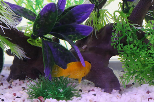 AQUA KT Purple Aquarium Landscape Simulation Artificial Plant, Plastic Fish Tank Decoration, Aquatic Water Plant