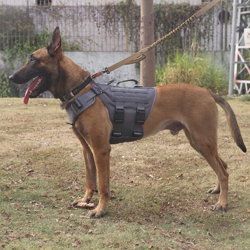 ICEFANG GN3 Tactical Dog Harness, Wolf Gray L, 6X Buckle, Molle Vest with Handle, No Pulling Front Clip, Hook and Loop