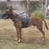 ICEFANG GN3 Tactical Dog Harness, Wolf Gray L, 6X Buckle, Molle Vest with Handle, No Pulling Front Clip, Hook and Loop