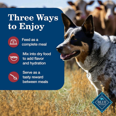 Pack,12.5-oz Cans,(Pack 12) Blue Buffalo Homestyle Recipe Adult Wet Dog Food,Made with Natural Ingredients,Chicken