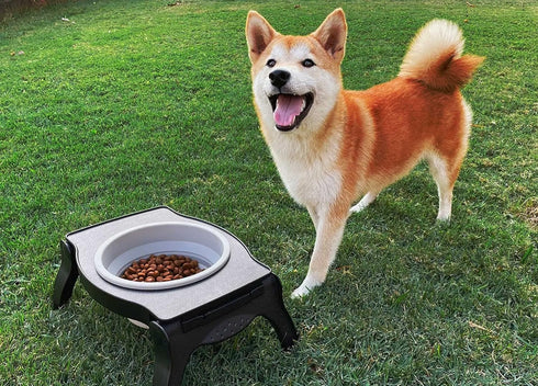 Tuff Pupper Elevated Dog Bowl - Single Raised Bowl Holds 80oz/12cups Food/Water, Collapsible Travel Bowl for Easy