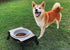 Tuff Pupper Elevated Dog Bowl - Single Raised Bowl Holds 80oz/12cups Food/Water, Collapsible Travel Bowl for Easy