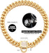 PRADOG Gold Chain Dog Collar, Stainless Steel Cuban Link Collar with Zirconia Buckle, Designer Bling Puppy Necklace