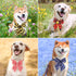 Segarty Dog Neck Bows, 30PCS Adjustable Pet Bowties Collar for Medium Large Dogs, Grooming Accessories for Christmas