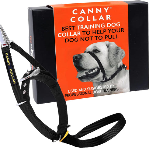 Canny Collar No-Pull Dog Collar, Gentle Head Collar for Dogs, Training Tool for Easier Walking, Black, Size 2
