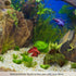 SunGrow Betta Fish Cave, Coconut Shell Habitat, Spacious Hideout for Resting and Breeding, 1 Pc
