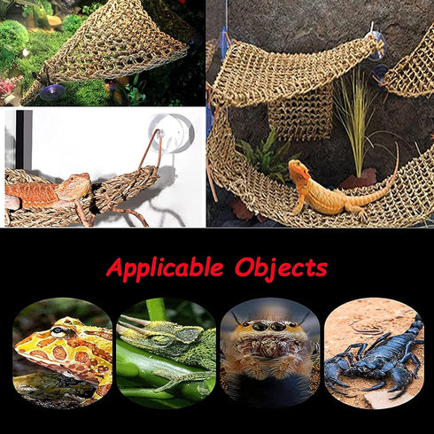 Tfwadmx 2 Pack Bearded Dragon Hammock, Reptile Climbing Decor, 100% Natural Seagrass Fabric for Reptiles