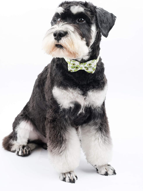 Dog Collar with Bow Tie, Quick Release Buckle, Cute Pattern, Small Medium Large, Green Avocado