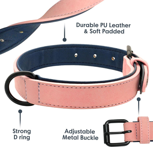 Didog Soft Padded Leather Dog Collar, Heavy Duty Adjustable Leather Collar with Rust-Proof Metal Buckle for Small