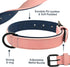 Didog Soft Padded Leather Dog Collar, Heavy Duty Adjustable Leather Collar with Rust-Proof Metal Buckle for Small
