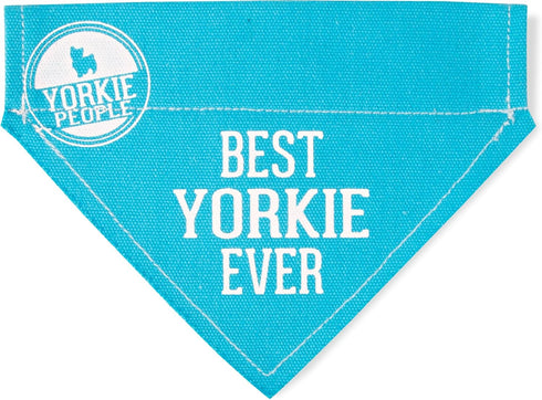 Pavilion Best Yorkie Ever Sky Blue Canvas Small Dog Bandana Collar, 7" x 5"