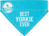 Pavilion Best Yorkie Ever Sky Blue Canvas Small Dog Bandana Collar, 7" x 5"