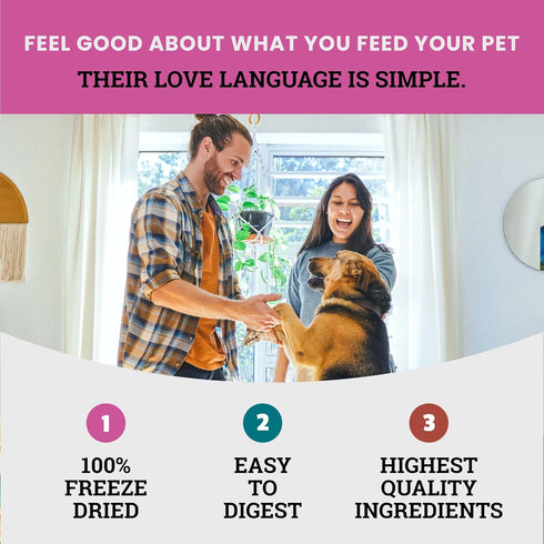 etta says! Eat Simple Freeze Dried Treats for Dogs Variety – Duck, Turkey, Lamb - 100% Real Meat, Pack of 3
