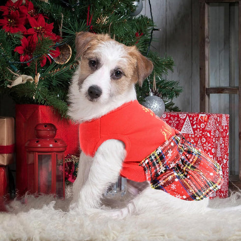 Dog Christmas Outfit, Dresses for Medium Dogs, XXS Puppy Clothes, Holiday Pet Dress, Red, XXS Doggie Costume