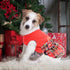 Dog Christmas Outfit, Dresses for Medium Dogs, XXS Puppy Clothes, Holiday Pet Dress, Red, XXS Doggie Costume