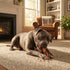 MON2SUN 6 Inch 35.27 oz (20 Count-Pack 1) Dog Treats, Triple Flavor Chicken Liver Duck and Chicken Wrapped Rawhide