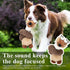 JMZDS&JL Squeaky Dog Toys, Plush Stuffed Crinkle Chew Toys for Small Medium Large Dogs, Puppy Teething Toys