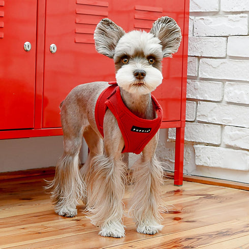 PUPPIA International PUAH305WNLG Soft Harness B Vest, Large Size