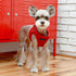 PUPPIA International PUAH305WNLG Soft Harness B Vest, Large Size