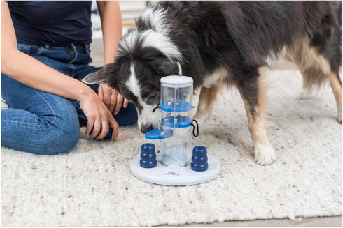 TRIXIE Intermediate Gambling Tower Strategy Game Dog Puzzle Toy, Level 2 Activity for Interactive Play and Enrichment