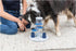 TRIXIE Intermediate Gambling Tower Strategy Game Dog Puzzle Toy, Level 2 Activity for Interactive Play and Enrichment