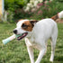 Chew King Dental Dog Toy Collection, Stick Clinically Proven to Remove Plaque