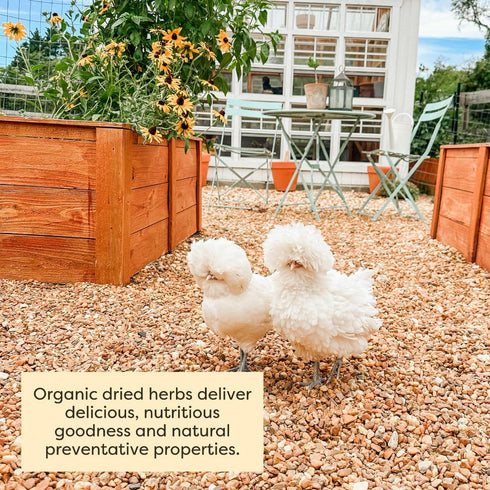 10 oz Scratch and Peck Dried Herbs Supplement for Chickens and Ducks - Bag - Natural, Aromatic Nesting Box Herbs