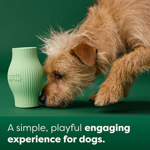 Earth Rated Treat Dispensing Dog Toy - Enrichment Toy for Adult and Puppy Dogs, Slow Feeder, Small, Green