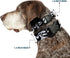 Buckle-Down Dog Collar - Plastic Clip Nightmare Before Christmas Zero Expressions, 11 to 17 Inches, 1.0 Inch Wide